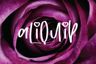 Aliquip: The Confident Script Font for Handmade Brands