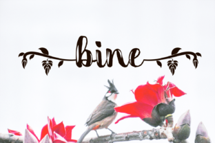 Bine: A Bold Handwritten Font for Modern Web Design