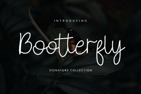 Bootterfly Font Review: A Modern Script for Brand Identity