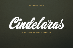 Cindelaras: A Designer's Honest Review for Branding