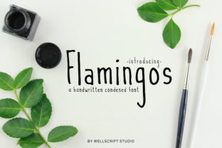 Flamingos Font: The Script Typeface That Elevates Campaigns