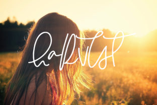 Harvest Font: A Nostalgic Typeface for Authentic Branding
