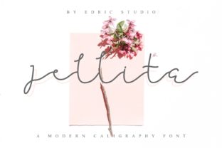 Jellita: The Script Font That Elevates Campaign Visuals