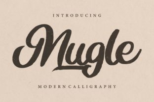 Mugle Font Review: Elevating Campaign Visuals with Script Style