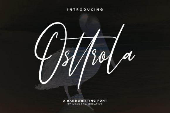 Osttrola Font Review: A Modern Script for Bold Branding