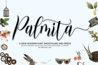 Palmita: A Modern Script Font for Web Design
