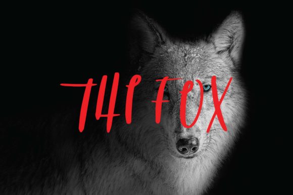 The Fox Script Font: A Bold Choice for Small Business Branding